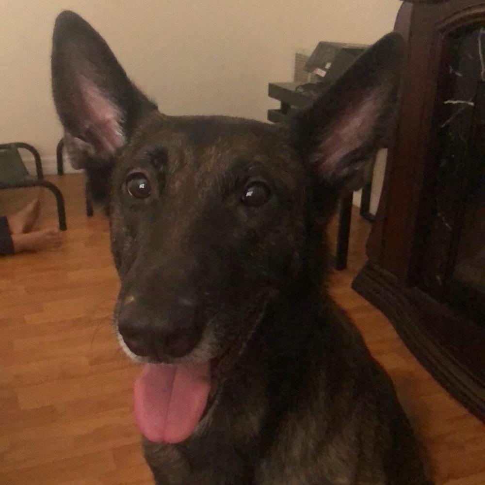 Meet your Posher, Dee